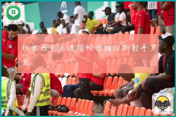 切尔西重点追踪帕尔梅拉斯射手罗克